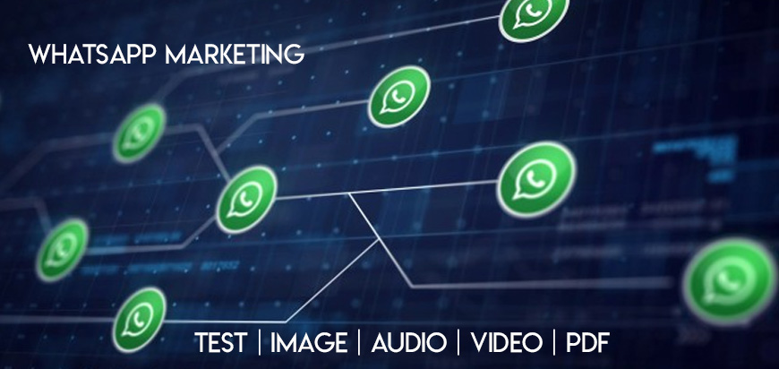 WhatsApp Marketing